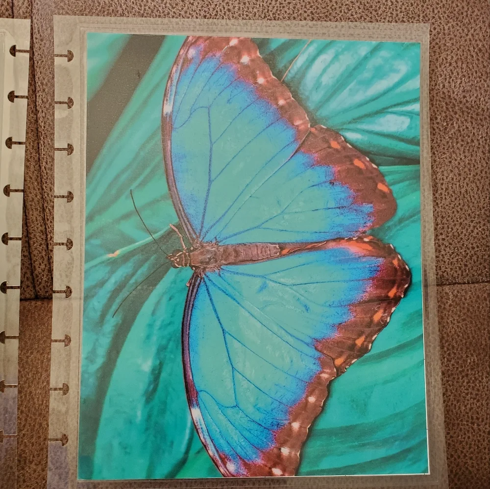 Hand Made classic sized cover for a disc bound planner farm scene, butterflies